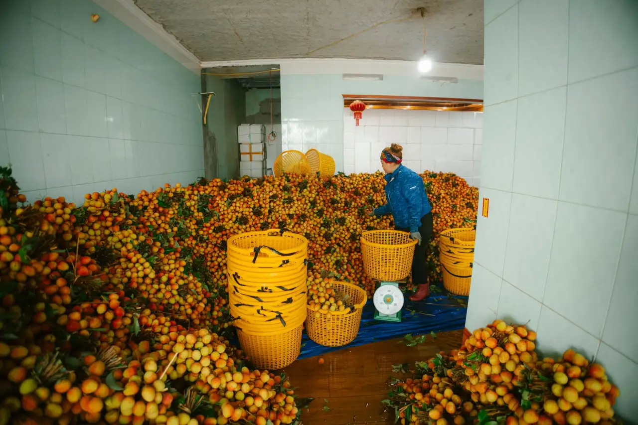 海南锐桦刚机电设备有限公司工业设备配件供应体系及品控标准解析